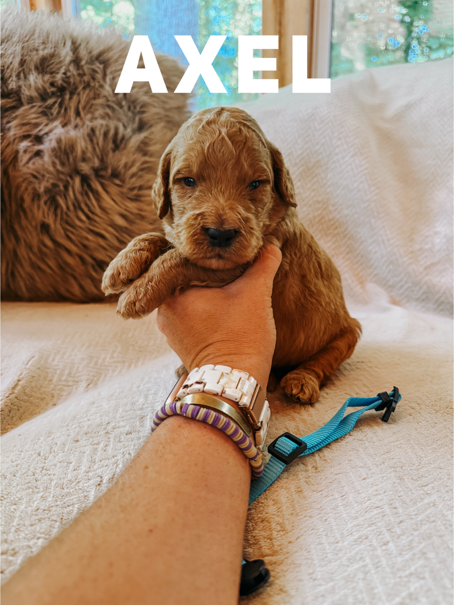 Axel 1